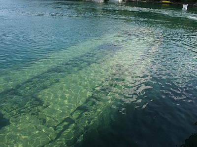 Amazing Shipwrecks