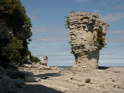 Flower Pot Island